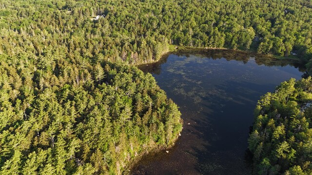 0 Red Spruce Way, Mount Desert, ME 04660 - photo 7
