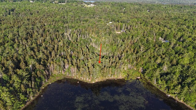 0 Red Spruce Way, Mount Desert, ME 04660 - photo 8