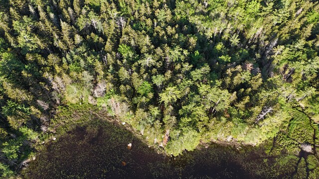 0 Red Spruce Way, Mount Desert, ME 04660 - photo 9
