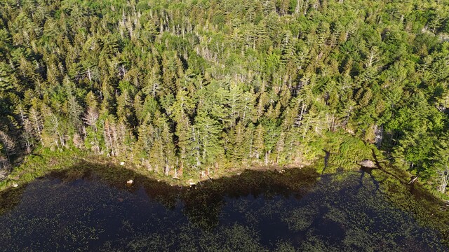 0 Red Spruce Way, Mount Desert, ME 04660 - photo 10