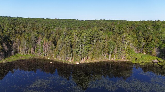 0 Red Spruce Way, Mount Desert, ME 04660 - photo 11