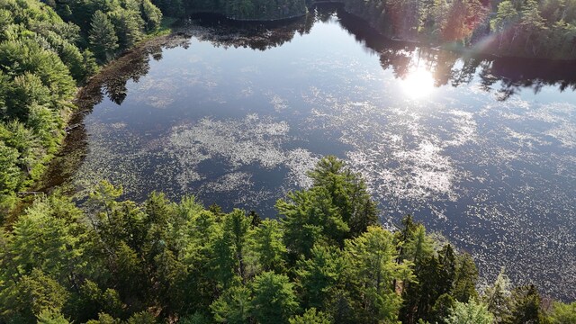 0 Red Spruce Way, Mount Desert, ME 04660 - photo 12