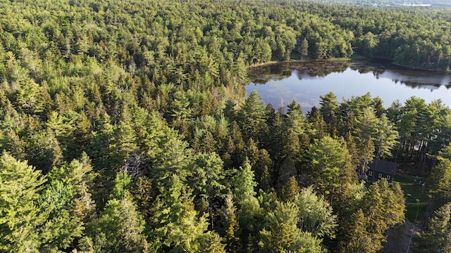 0 Red Spruce Way, Mount Desert, ME 04660 - photo 13