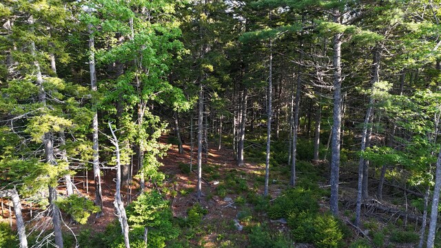 0 Red Spruce Way, Mount Desert, ME 04660 - photo 14