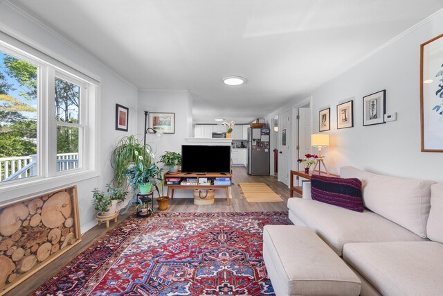 1165 Castine Rd, Penobscot, ME 04476 - living room with light wood-type flooring, healthy amount of natural light, and crown molding