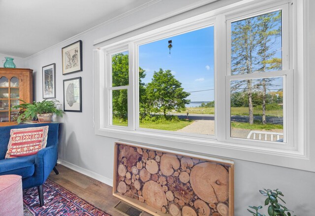 1165 Castine Rd, Penobscot, ME 04476 - living area with wood finished floors and crown molding