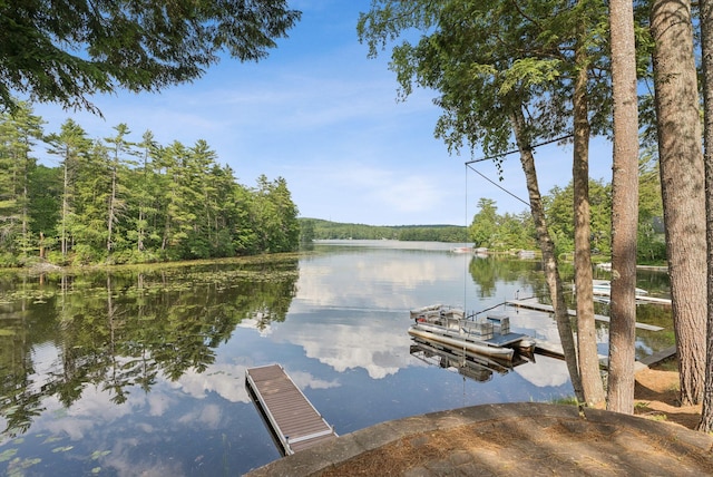 115 34th St, Acton, ME 04001 - dock area with a water view and a view of trees