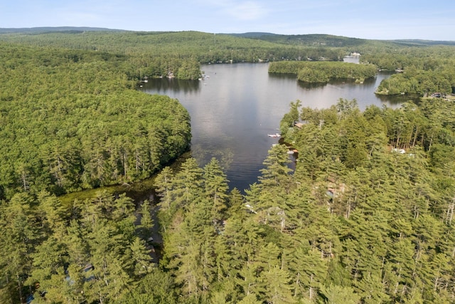 115 34th St, Acton, ME 04001 - water view with a forest