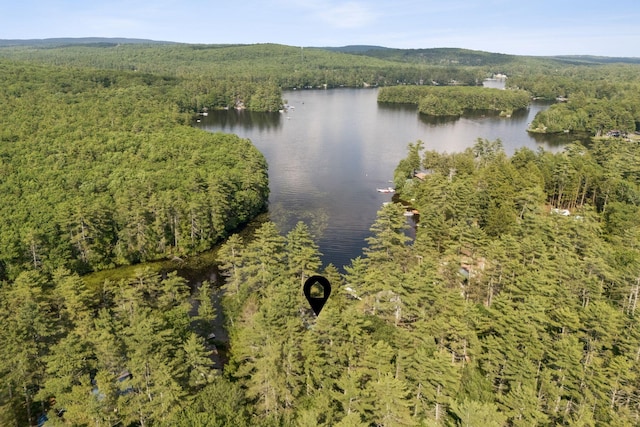 115 34th St, Acton, ME 04001 - aerial overview of property's location with a heavily wooded area and a large body of water