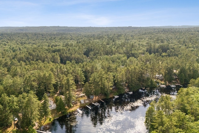 115 34th St, Acton, ME 04001 - aerial overview of property's location with a forest and a nearby body of water