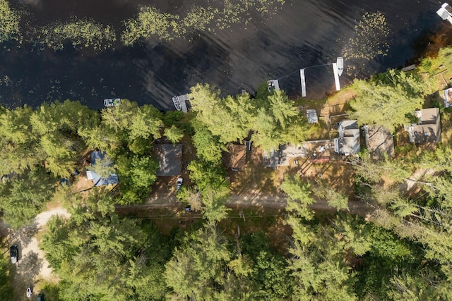 115 34th St, Acton, ME 04001 - drone / aerial view