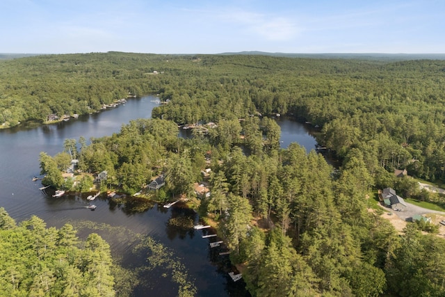115 34th St, Acton, ME 04001 - view of property location featuring a heavily wooded area and a large body of water