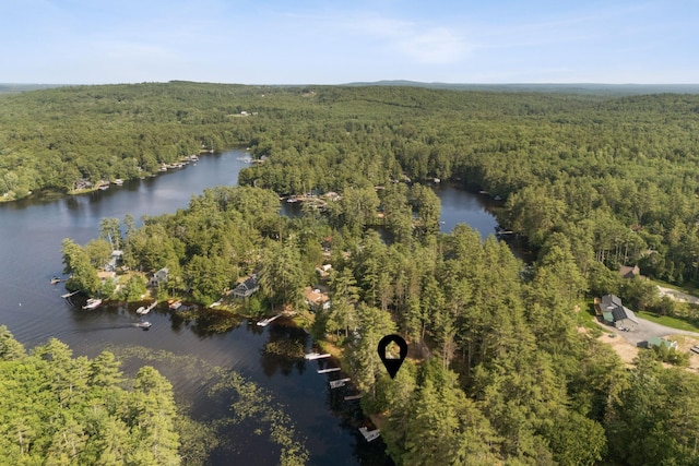 115 34th St, Acton, ME 04001 - view of property location featuring a forest and a large body of water
