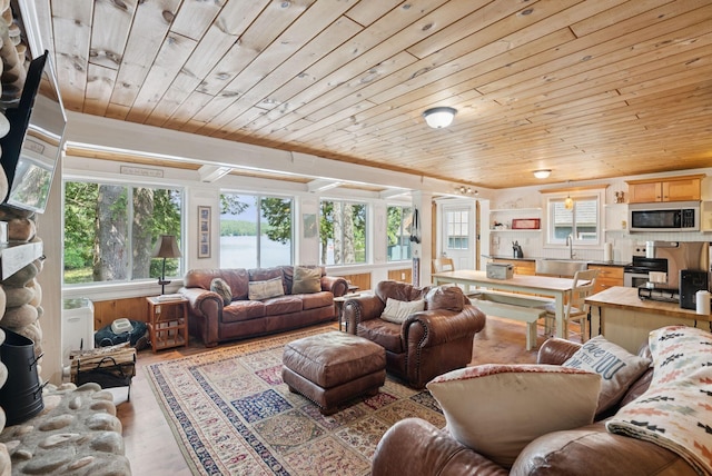 115 34th St, Acton, ME 04001 - living room with wooden ceiling, light wood-style floors, and a water view