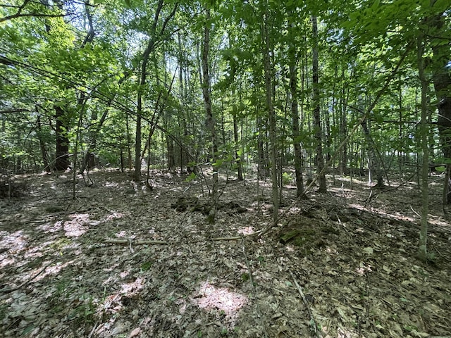 LOT5 Naples Rd, Harrison, ME 04040 - photo 1