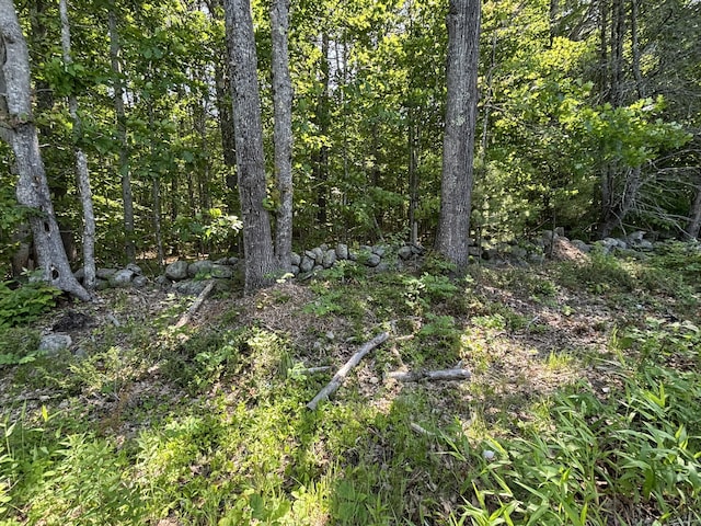 LOT5 Naples Rd, Harrison, ME 04040 - photo 2