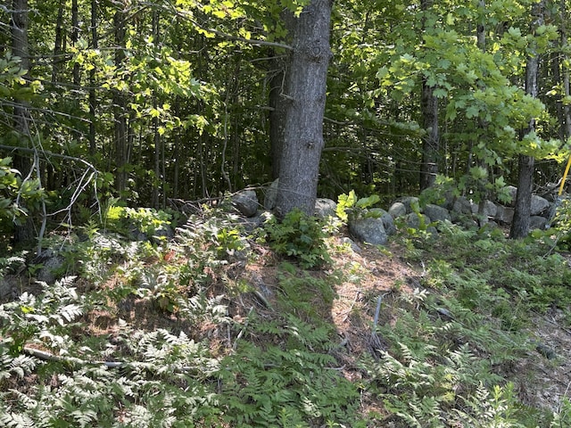 LOT5 Naples Rd, Harrison, ME 04040 - photo 3
