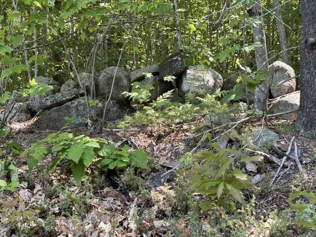 LOT5 Naples Rd, Harrison, ME 04040 - photo 4