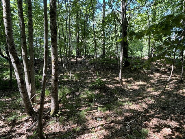 LOT5 Naples Rd, Harrison, ME 04040 - photo 5