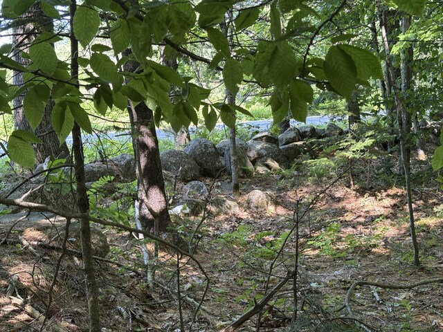 LOT5 Naples Rd, Harrison, ME 04040 - photo 6