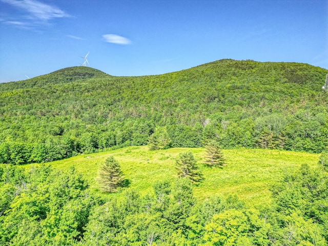 115 Swain Farm Rd, Rumford, ME 04276 - view of mountain background featuring a heavily wooded area