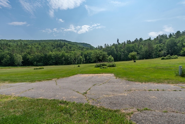 115 Swain Farm Rd, Rumford, ME 04276 - view of mountain backdrop featuring a heavily wooded area and rural landscape