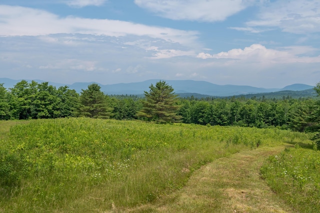 115 Swain Farm Rd, Rumford, ME 04276 - view of mountain background with a heavily wooded area