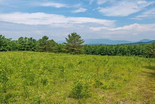 115 Swain Farm Rd, Rumford, ME 04276 - view of mountain backdrop with a heavily wooded area