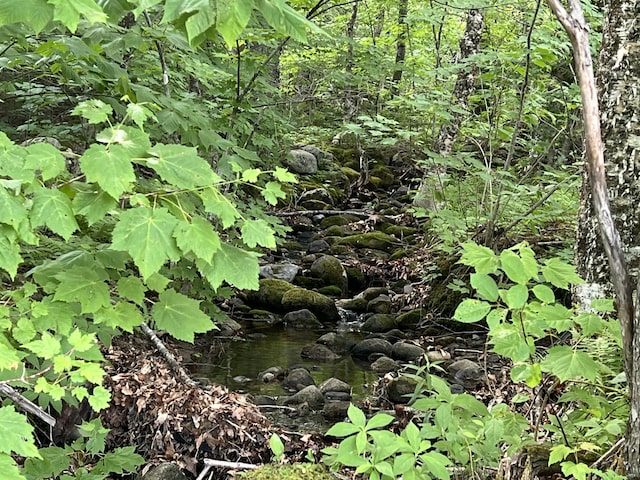 115 Swain Farm Rd, Rumford, ME 04276 - view of undeveloped land