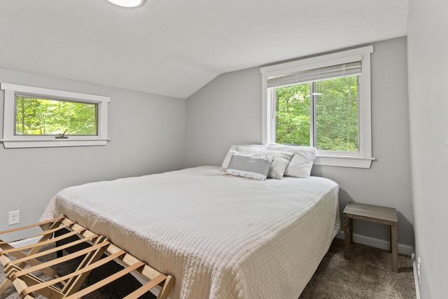 60 Butterworth Dr Unit 40, 46, Naples, ME 04055 - bedroom with lofted ceiling, carpet, and multiple windows