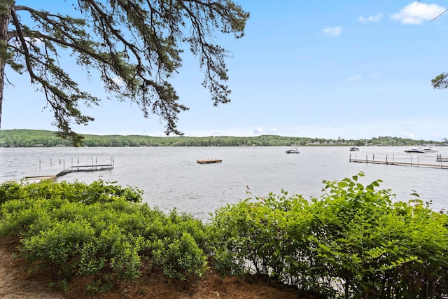 60 Butterworth Dr Unit 40, 46, Naples, ME 04055 - water view with a dock