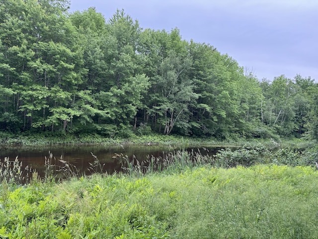 14 Lead Mountain Ln, Belfast, ME 04915 - photo 32