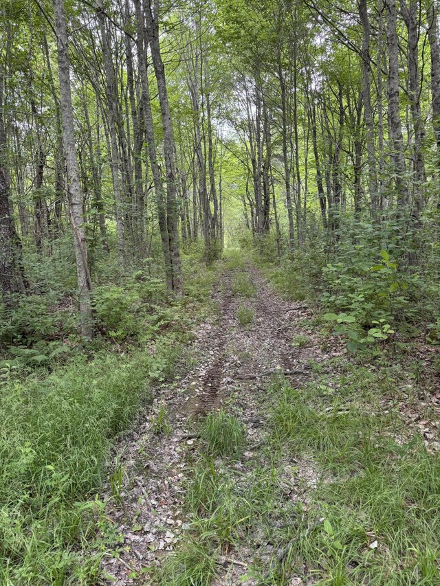14 Lead Mountain Ln, Belfast, ME 04915 - photo 31