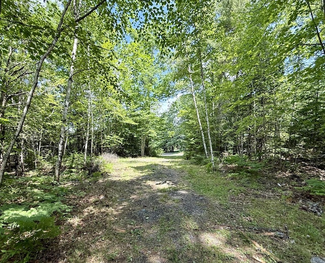 481 Airline Rd, Baileyville, ME 04694 - photo 1