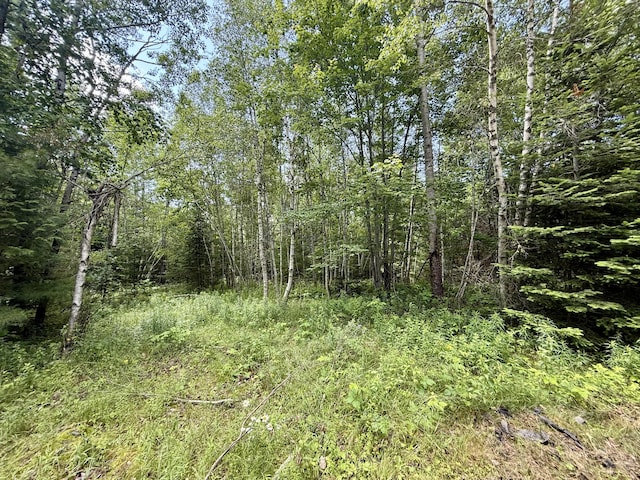 481 Airline Rd, Baileyville, ME 04694 - photo 46