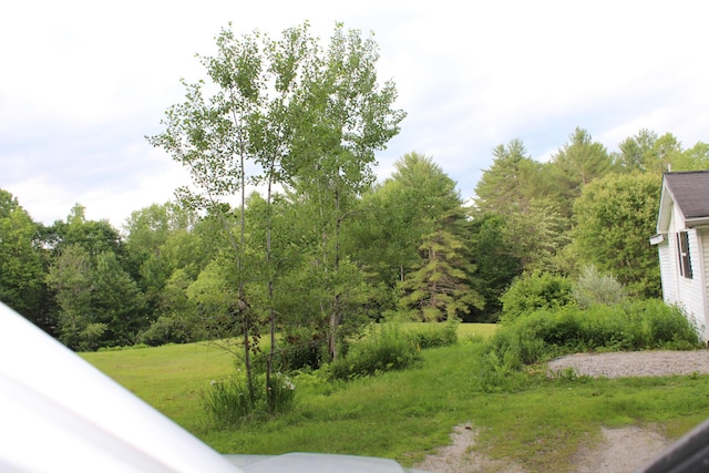 49 Horace Files Rd, Naples, ME 04055 - view of yard