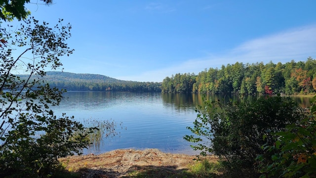 0 Hancock Pond Rd, Denmark, ME 04022