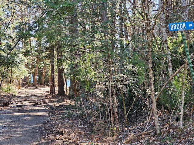 0 Hancock Pond Rd, Denmark, ME 04022