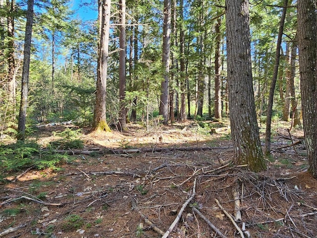 0 Hancock Pond Rd, Denmark, ME 04022