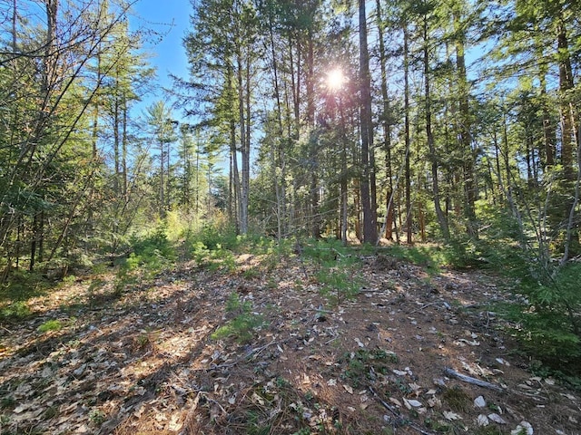 0 Hancock Pond Rd, Denmark, ME 04022