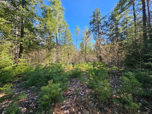 0 Hancock Pond Rd, Denmark, ME 04022