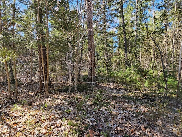 0 Hancock Pond Rd, Denmark, ME 04022