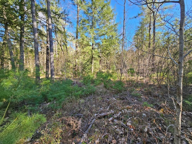 0 Hancock Pond Rd, Denmark, ME 04022