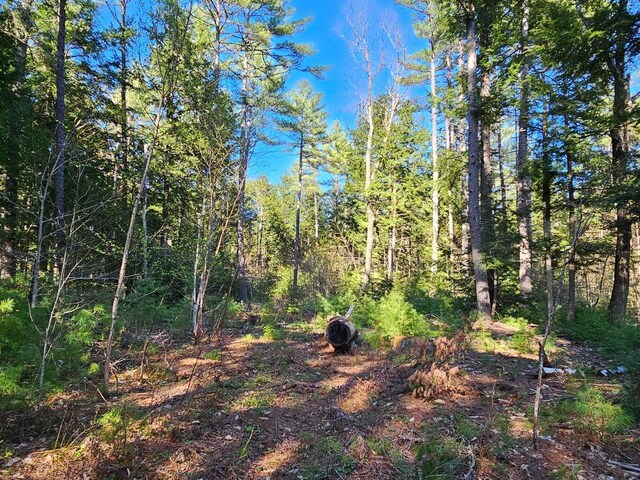 0 Hancock Pond Rd, Denmark, ME 04022
