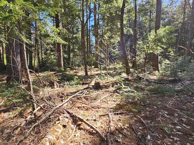 0 Hancock Pond Rd, Denmark, ME 04022