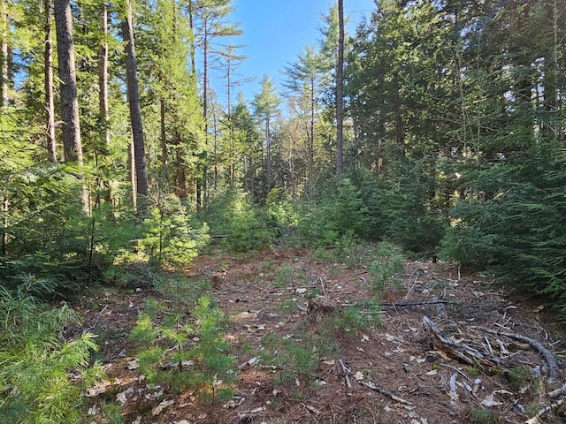 0 Hancock Pond Rd, Denmark, ME 04022