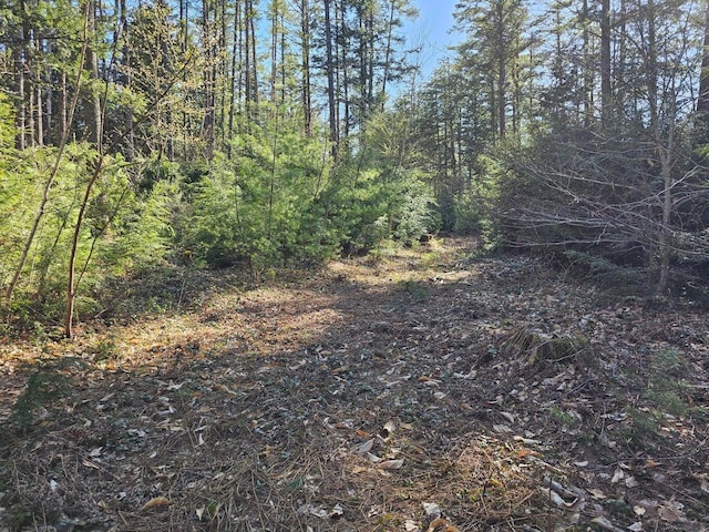 0 Hancock Pond Rd, Denmark, ME 04022