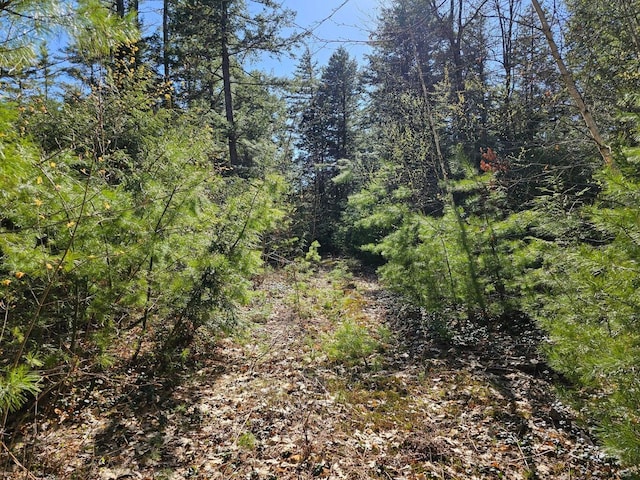 0 Hancock Pond Rd, Denmark, ME 04022