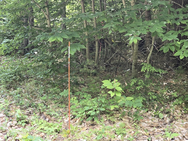 0 Hancock Pond Rd, Denmark, ME 04022