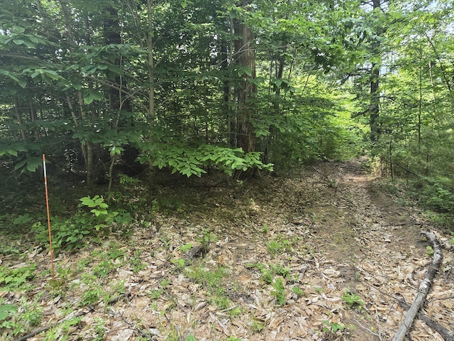 0 Hancock Pond Rd, Denmark, ME 04022